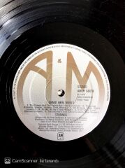 Strawbs / Grave New World LP