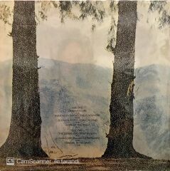 Neil Young with Crazy Horse - Everybody Knows LP